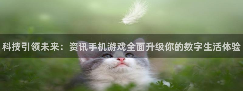 长征娱乐平台官网登录：科技引领未来：资讯手机游戏全面升级你的