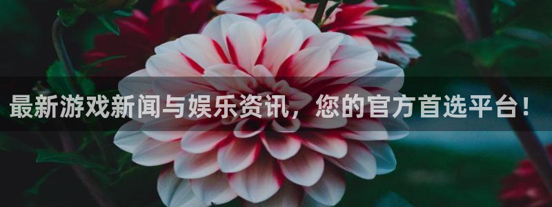 长征娱乐在线登录：最新游戏新闻与娱乐资讯，您的官方首选平台！