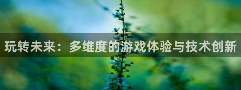 长征娱乐手机网页版登录：玩转未来：多维度的游戏体验与技术创新