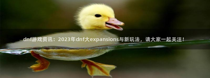 长征娱乐登录：dnf游戏资讯：2023年dnf大expans