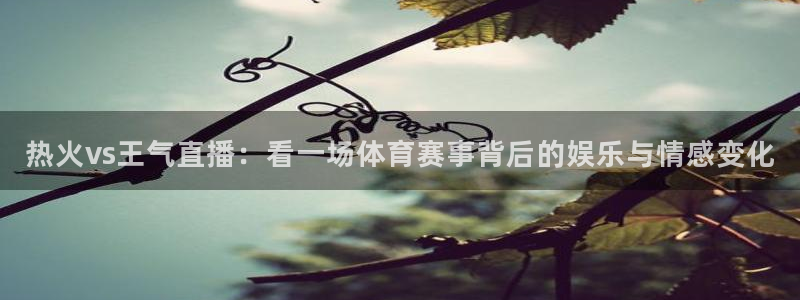 球友体育免费看nba