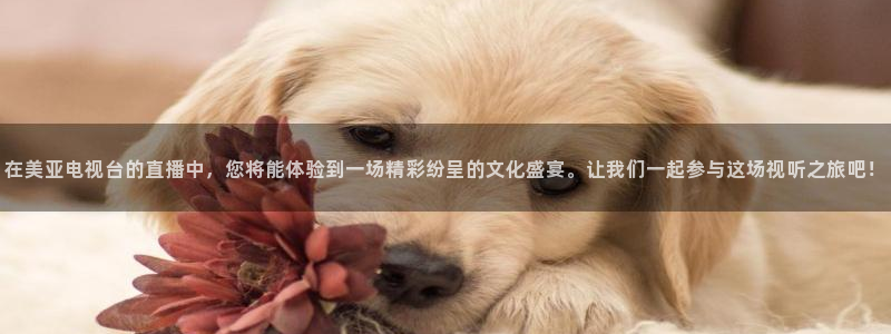 球友体育app免费看球：在美亚电视台的直播中，您将能体验到一场精彩纷呈的文化盛宴。让我们一起参与这场视听之旅吧！