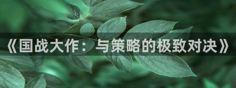 长征娱乐官网登录入口网址：《国战大作：与策略的极致对决》
