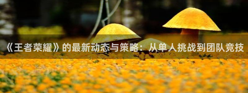 长征娱乐d1765八27破：《王者荣耀》的最新动态与策略：从