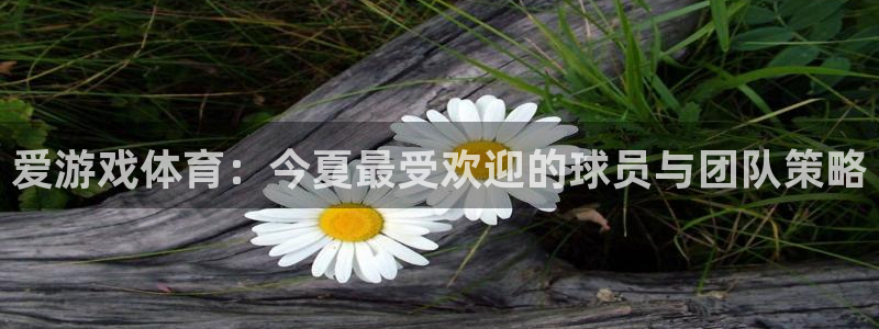 长征娱乐平台官网注册：爱游戏体育：今夏最受欢迎的球员与团队策