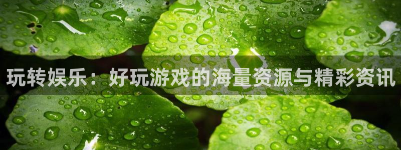 长征娱乐平台注册：玩转娱乐：好玩游戏的海量资源与精彩资讯