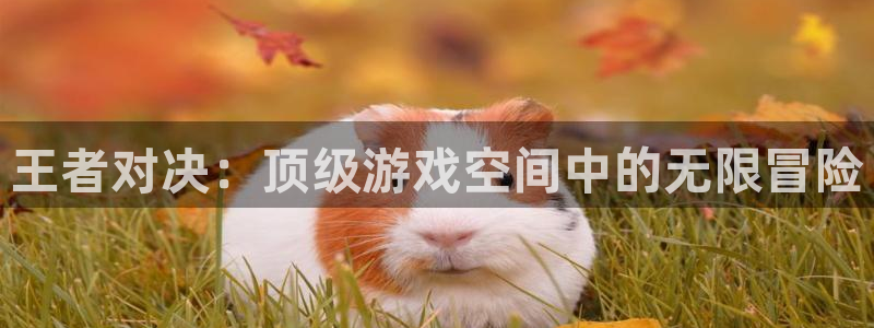 长征娱乐测速:王者对决:顶级游戏空间中的无限冒险
