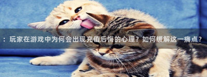 长征娱乐登陆测速::玩家在游戏中为何会出现充值后悔的心理?如