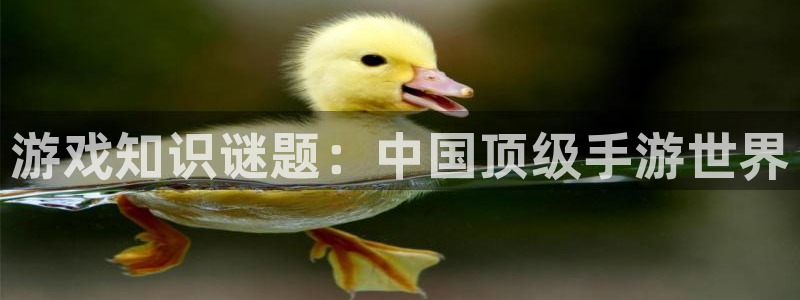 长征娱乐注册平台：游戏知识谜题：中国顶级手游世界