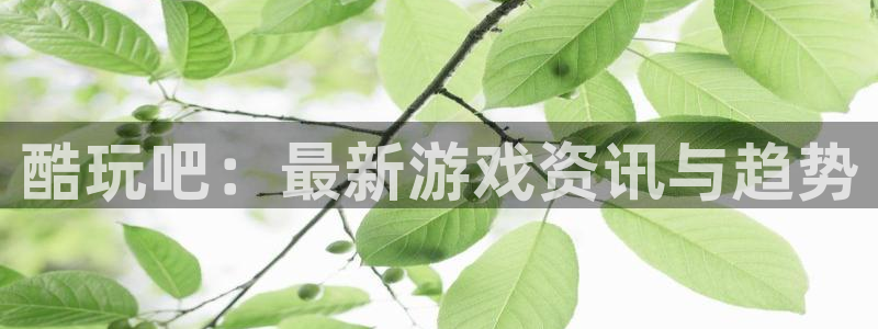 长征娱乐开户测速：酷玩吧：最新游戏资讯与趋势