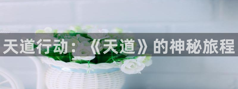 长征娱乐注册地址：天道行动：《天道》的神秘旅程