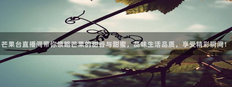 球友体育免费下载：芒果台直播间带你领略芒果的甜香与甜蜜，品味生活品质，享受精彩瞬间！